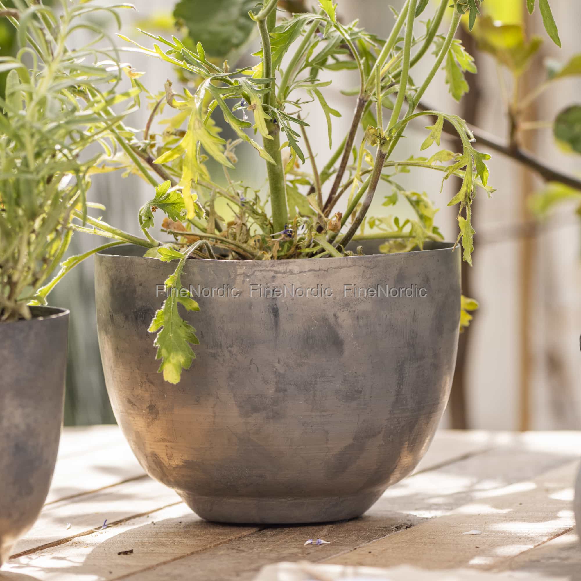 wie viel erde in 60 cm blumenkasten Berechnen Sie, wie viel Erde Sie für Ihren Pflanzkasten benötigen – Der  Stahlgarten main image 1